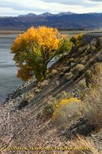 Topaz Lake