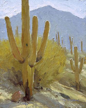 SaguarosofHoneybeeCanyon