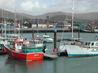 Dingle harbor